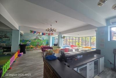 Spațiu comercial, de 391 mp, în Dristor