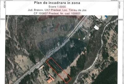 Teren de 10000 mp, în Timișu de Jos - 1