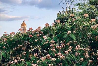 Apartament cu 4 camere decomandat, mobilat în Cotroceni - 25