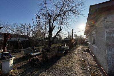 Casă cu 3 camere în Plopu - 8