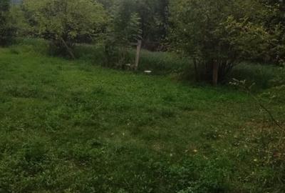 Casă individuală cu 2 camere cu Teren 1032 Mp în Tăuți - 5