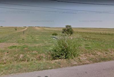 Teren agricol intravilan de 3600 mp, în Răucești - 3