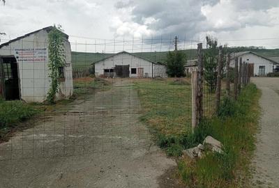 Spațiu comercial, de 4,565 mp, în Cunța - 3
