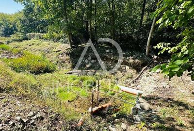 Un peisaj de poveste, ideal pentru investi?ie, Comuna Crasna - 6