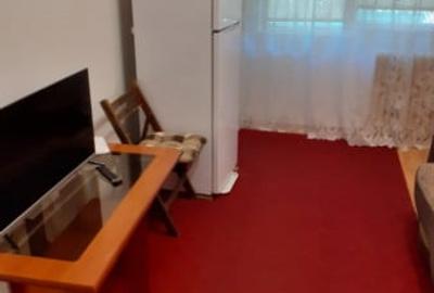 Garsonieră semidecomandată în Craiovița Nouă - 5