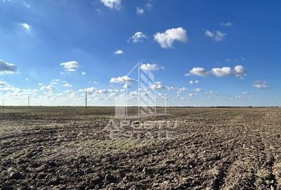 Teren 98.503 mp, intravilan, ideal parc fotovoltaic, Peci... - 1