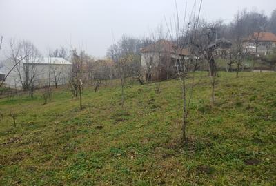 Teren 2900mp + Casa de vanzare Miclosanii Mari, Dambovita - 3