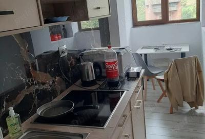 Garsonieră decomandată în Iacobeni - 2