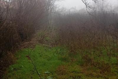 Vand casa si teren cioranii de jos Prahova - 1