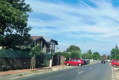 Vanzare Teren intravilan 10000mp Balaceanca - 6