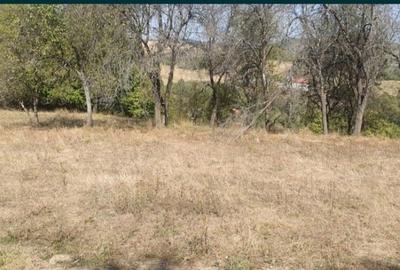Teren în Fornădia - 4