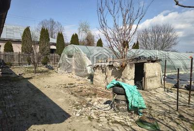 Casă cu Teren 1270 Mp în Transilvaniei - 9