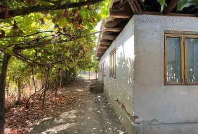 Casă cu 4 camere cu Teren 100 Mp în Rogova - 2