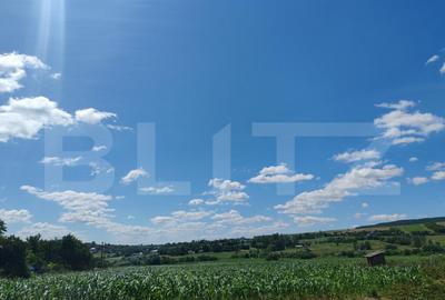 Teren 9600 mp si casa batraneasca demolabila, Dealu - 1
