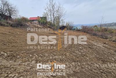 Teren Construcții intravilan de 900 mp, în Vișani - 2