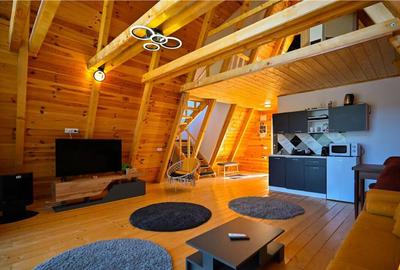 Ansamblu tip A frame, Moieciu de Jos, 2025 - 16