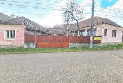 Casă cu 2 camere în Geoagiu - 1