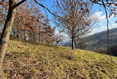 Teren intravilan 6.229 mp Șuncuiuș – râu, izvor, ideal business turistic - 6