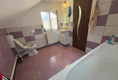 Casa batraneasca renovata Baile Olanesti, Valcea, sat Cheia - 3