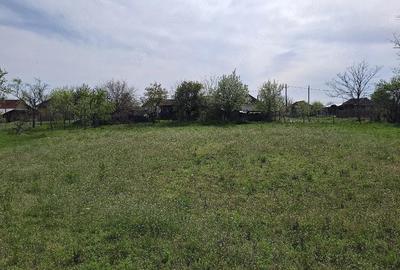 Casă cu 3 camere cu Teren 1500 Mp în Dâmbovița - 3