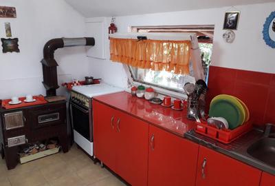 Casa Sunatori, Vatra Dornei, Suceava - 3