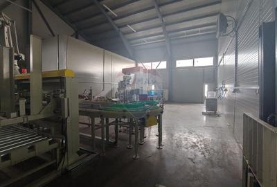 Spațiu industrial, de 1,120 mp, în Dumbrăveni - 36
