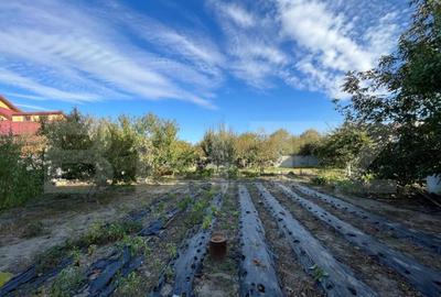 Vila D + P + E + M de 600 mp utili, teren de 1.400 mp, Cata - 16