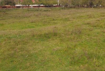 Casă cu 2 camere în Balotești - 1