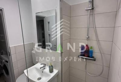 Apartament cu 2 camere decomandat, mobilat în Mănăștur - 12
