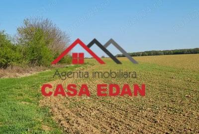 Casă cu Teren 5000 Mp în Urleta - 3