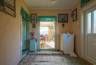 Liniste, aer curat si pamant bun - 7255 mp in Vama Buzaului - 9