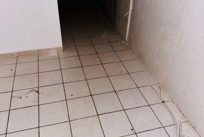 Armeneasca - Bd. Carol I stradal spatiu comercial 54 mp utili - 7
