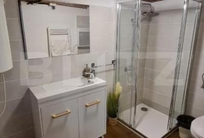 Cabana cocheta din lemn in Belis – 3 camere, ideala pentru vacanta sau investiti - 8