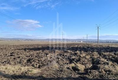 TEREN INTRAVILAN PENTRU CONSTRUCTIE BLOCURI-20000 MP, ZONA CALEA SURII MICI - 2