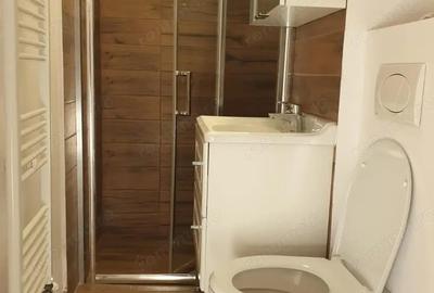 Apartament cu 2 camere de inchiriat in zona Costin Georgian - 3