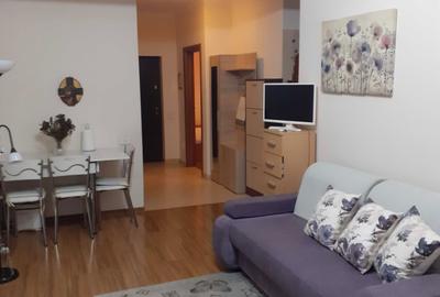 Apartament cu 2 camere semidecomandat în Bucureștii Noi - 11