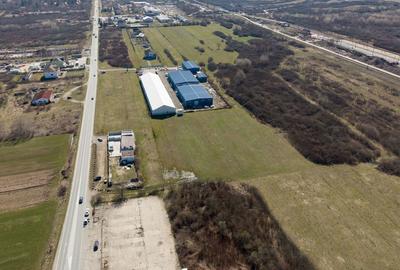 Teren agricol extravilan de 7194 mp, în Păltiniș - 4