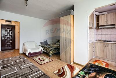 Apartament cu 1 camere de inchiriat in zona Aurel Vlaicu - 9