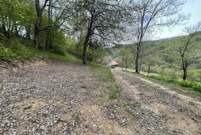 Casă cu 2 camere în Bătrâna - 8