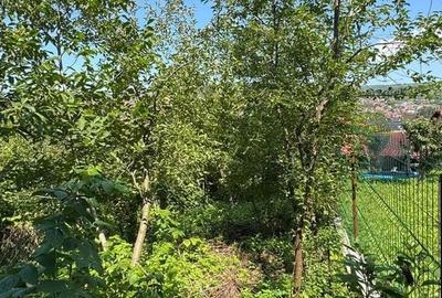 Duplex cu 5 camere cu Canalizare în Gruia - 3