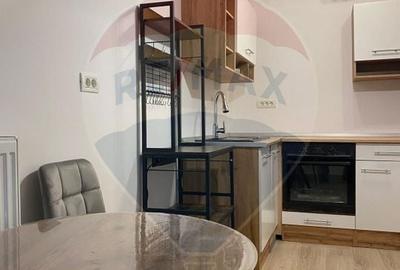 Casă cu 2 camere de închiriat în zona Tineretului - 32