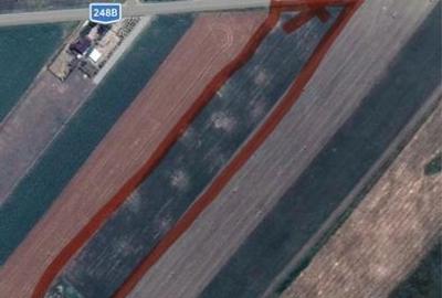 Teren de 15994 mp, în Rediu - 4