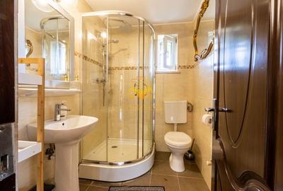 Casa individuala, 5 camere, dressing,garaj, 1000 mp gradina, Borhanci Casa individuala, 5 camere, dressing,garaj, 1000 mp gradina, Borhanci - 8