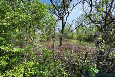 Teren de 1527 mp, în Central - 4