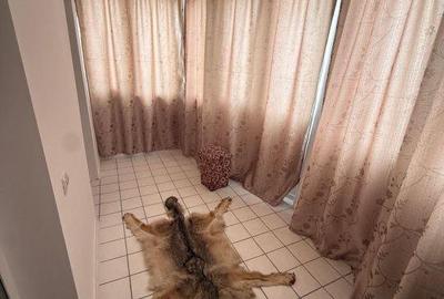 Casă cu 4 camere cu Teren 1267 Mp în Ciorani - 19