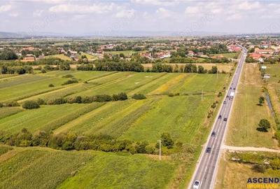 Teren extravilan Lunca Calnicului langa E574 - 18