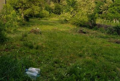 Teren de 2250 mp, în Smeura - 1