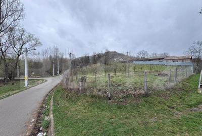 Teren Intravilan, 1964 mp, zona Comuna Bezdead - 2