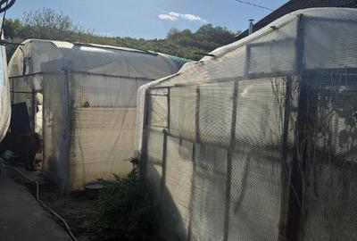 Casă cu Teren 1200 Mp în Central