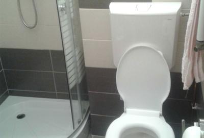 Apartament cu 3 camere decomandat în Mărăști - 8